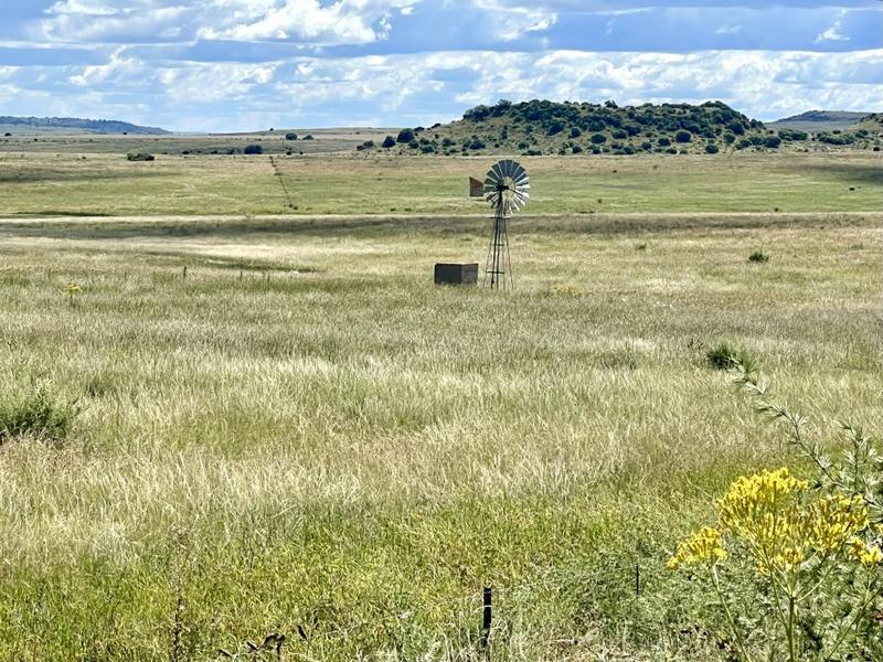 0 Bedroom Property for Sale in Lindley Free State